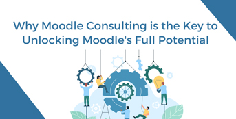 Moodle Consulting