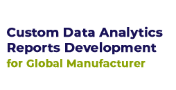 Case Study - Custom Data Analytics Reports Development for Global Manufacturer