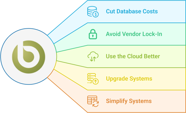 Challenges Our Data Migration Consultant’s Solve