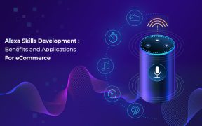 Alexa Skill Development