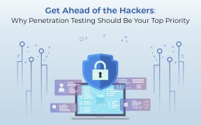 Penetration Testing