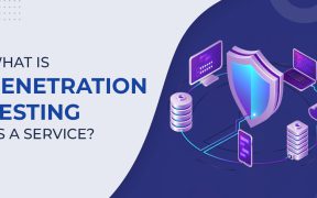 Penetration Testing as a Service