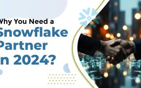 Snowflake Consulting Partner