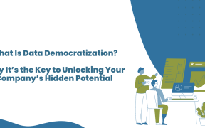 Data Democratization