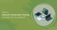 Network Penetration Testing