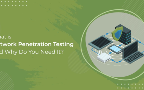 Network Penetration Testing