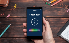 Voice chatbot