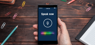 Voice chatbot